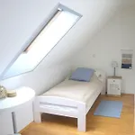 Comfort Palace 公寓 策勒